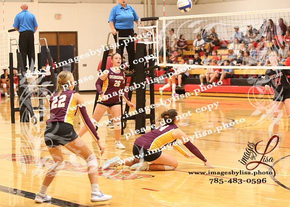 OsborneVB_0378_2026