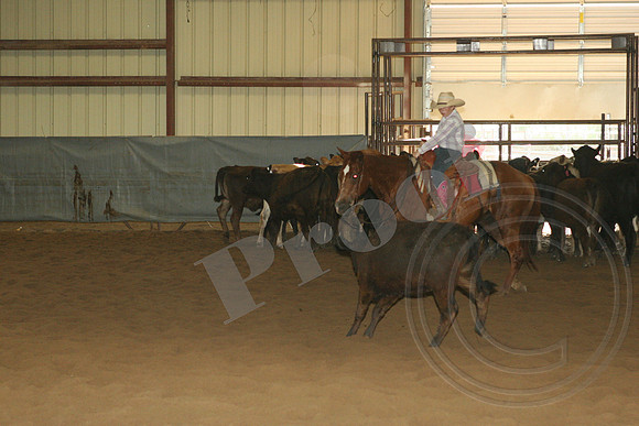 550_IMG_5015.JPG