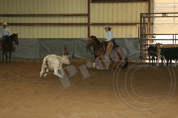 549_IMG_4954.JPG