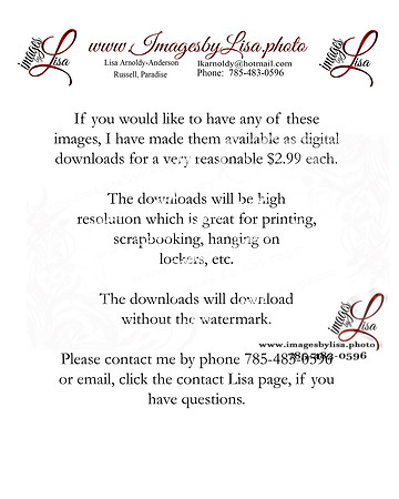 digitaldownloads