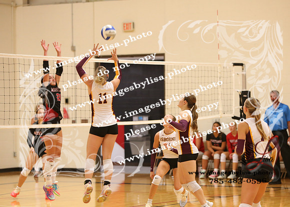 OsborneVB_7498_2026