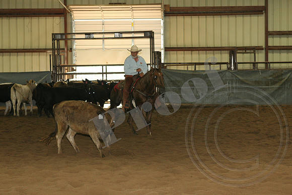 549_IMG_4940.JPG