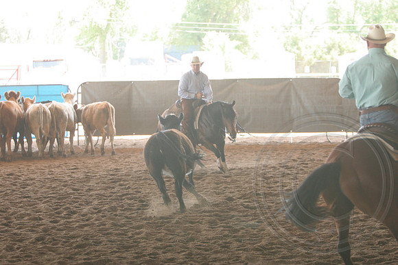 697_IMG_9718_2009.JPG