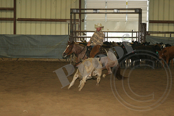 547_IMG_4748.JPG