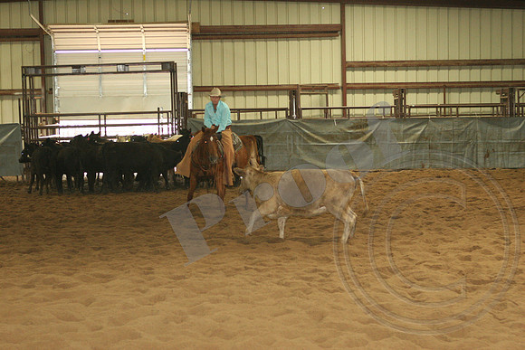 546_IMG_4690.JPG
