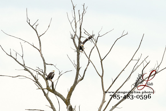 HannahChayce_0302_2025