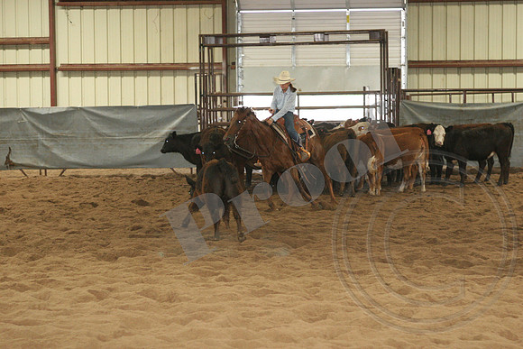543_IMG_4395.JPG