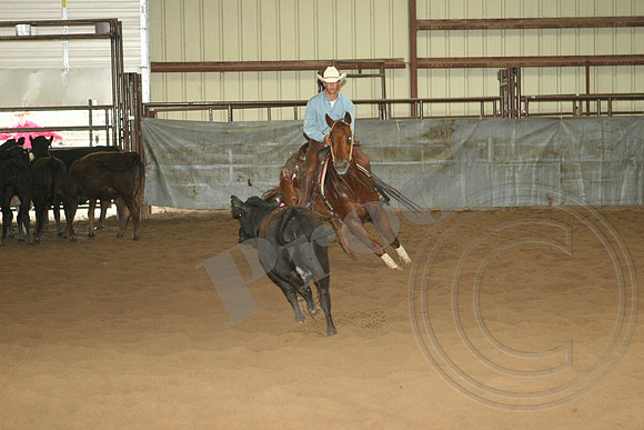 546_IMG_4655.JPG