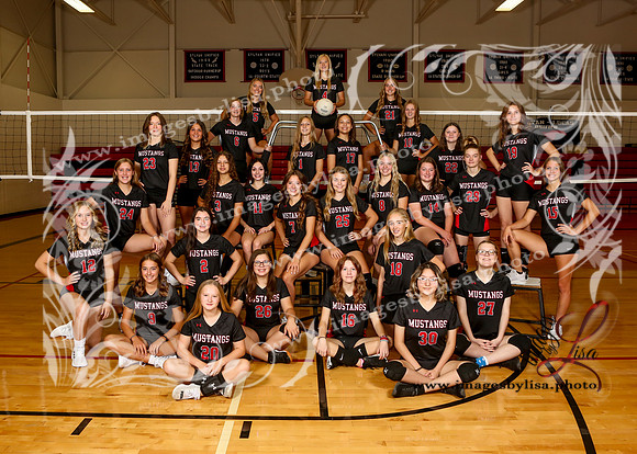 SylvanVB_9676_2023
