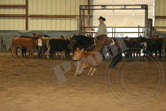 547_IMG_4781.JPG