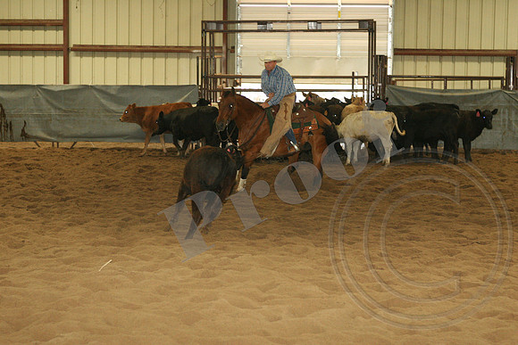 547_IMG_4714.JPG