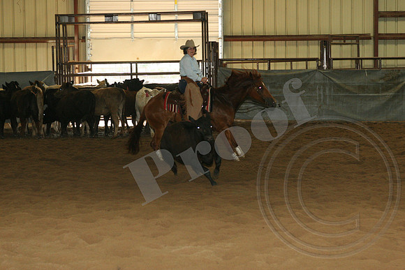 549_IMG_4948.JPG