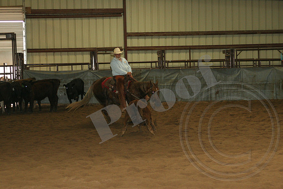 549_IMG_4938.JPG