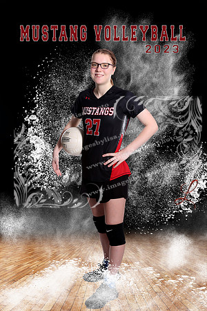 GossSaydee_Powder on the court 20by30