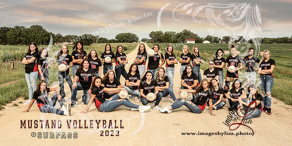 Team_SylvanVB_9875_2023
