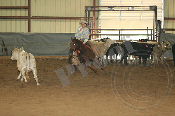 548_IMG_4887.JPG