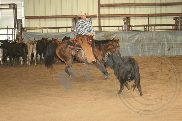 546_IMG_4628.JPG