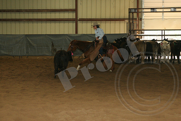 549_IMG_4945.JPG