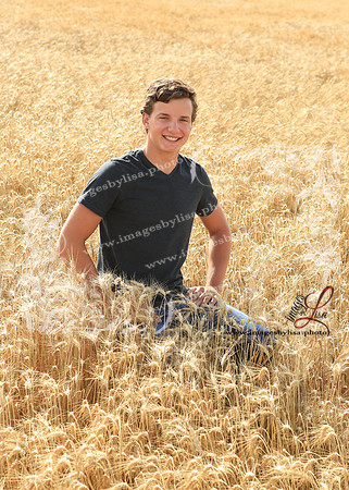 Alex_4440_2019