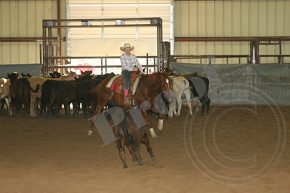 550_IMG_5014.JPG