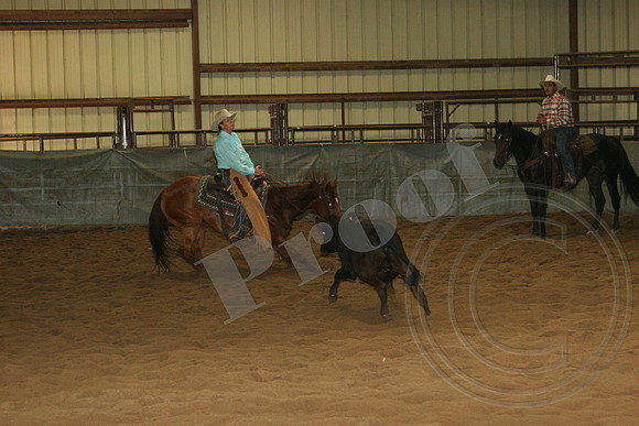 549_IMG_4934.JPG