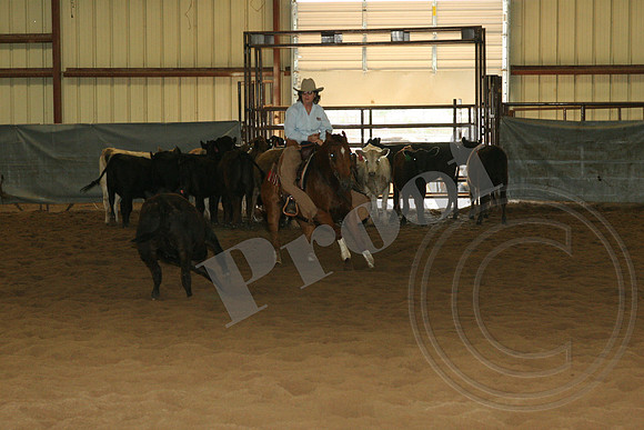 549_IMG_4944.JPG
