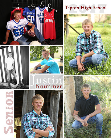 Collage_Brummer_6 images_16 by 20