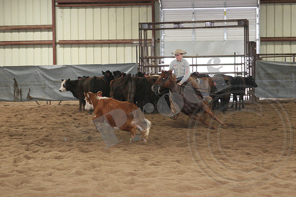 544_IMG_4407.JPG