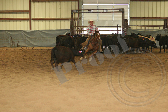 544_IMG_4471.JPG