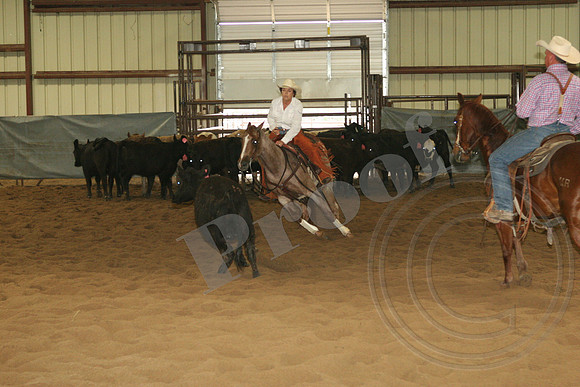 546_IMG_4682.JPG