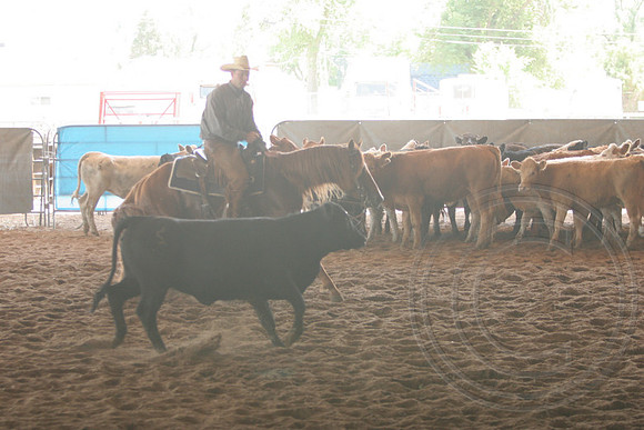 697_IMG_9732_2009.JPG