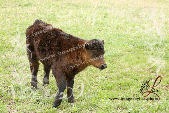 HannahChayce_0168_2025