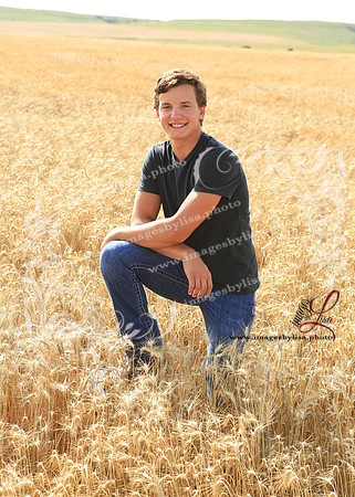 Alex_4451_2019
