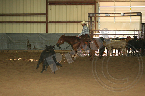 550_IMG_5073_$10,000Amateur.JPG