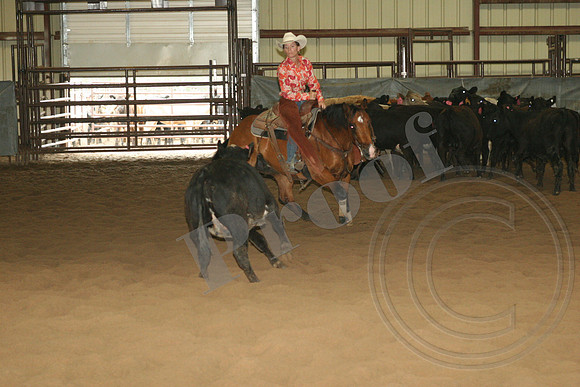 546_IMG_4656.JPG