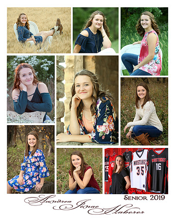 Aundrea_Collage_16by20_9images