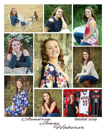 Aundrea_Collage_16by20_9images_Option2