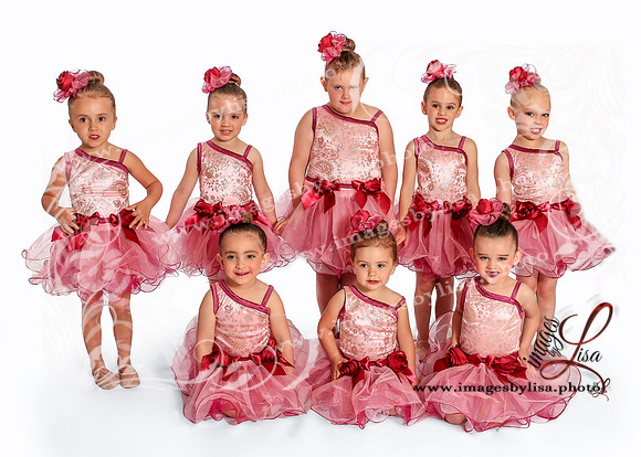 jcd_2348_2019