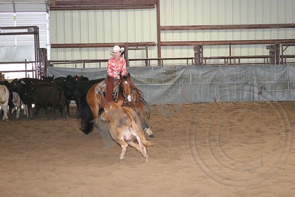 543_IMG_4346.JPG
