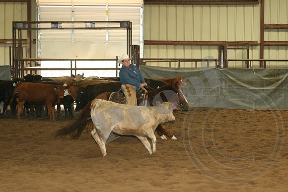 547_IMG_4738.JPG