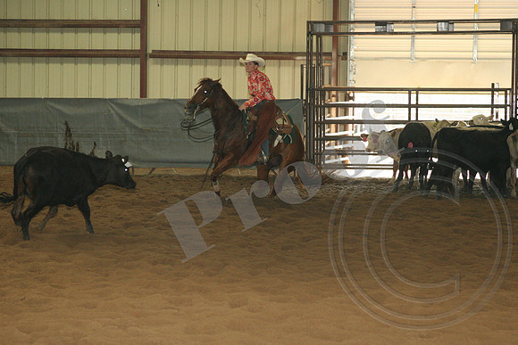 549_IMG_4905.JPG
