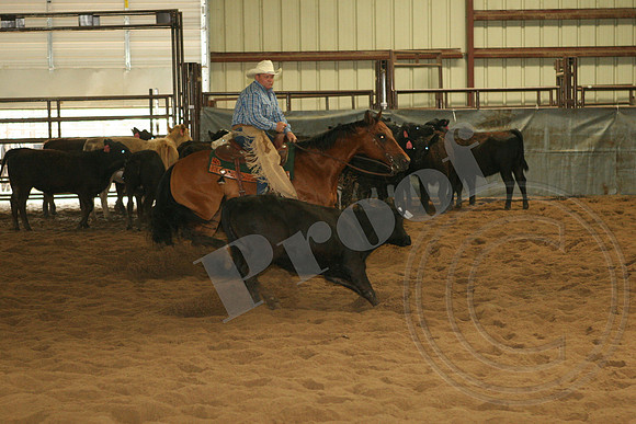 547_IMG_4711.JPG