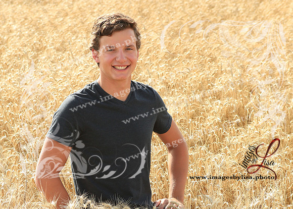 Alex_4438_2019