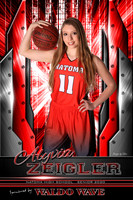 2020 Natoma Senior Banners