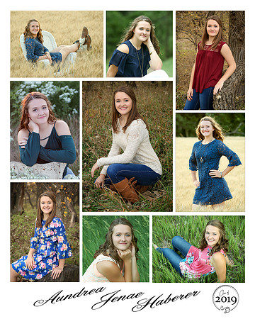 Sample_Aundrea_16by20_9images