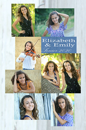 Sample_Collins_16x24_7pic_photodudsDiverse