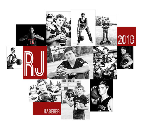 Sample_RJ_16by20_11pic_photodudsDiverse