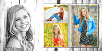 Collage Erica Brummer