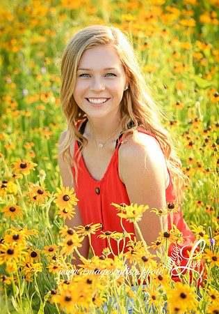 Erica_3506_2019
