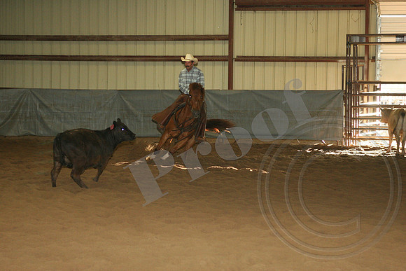 550_IMG_5079_$10,000Amateur.JPG